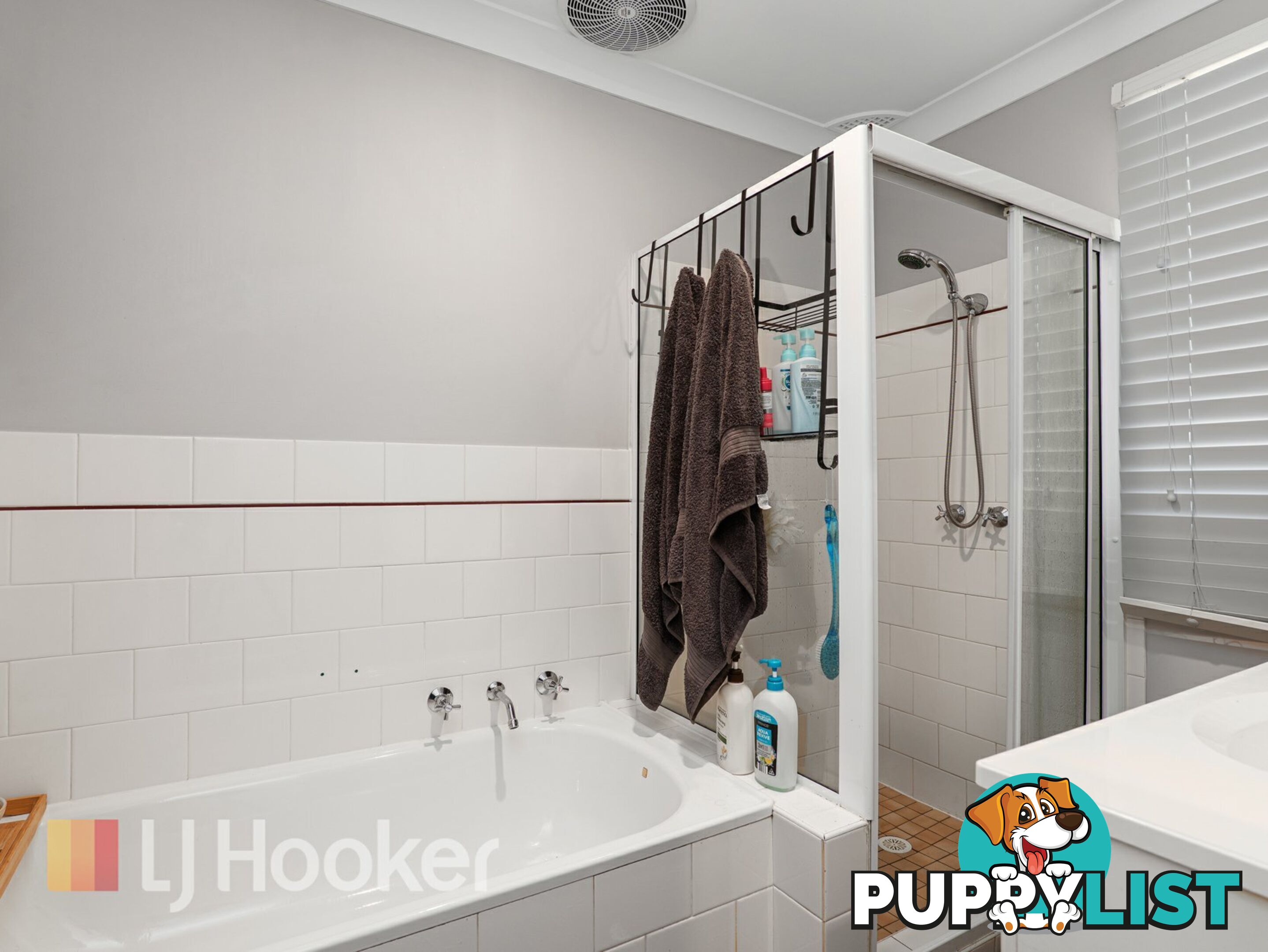 10 Waterhouse Avenue SINGLETON NSW 2330