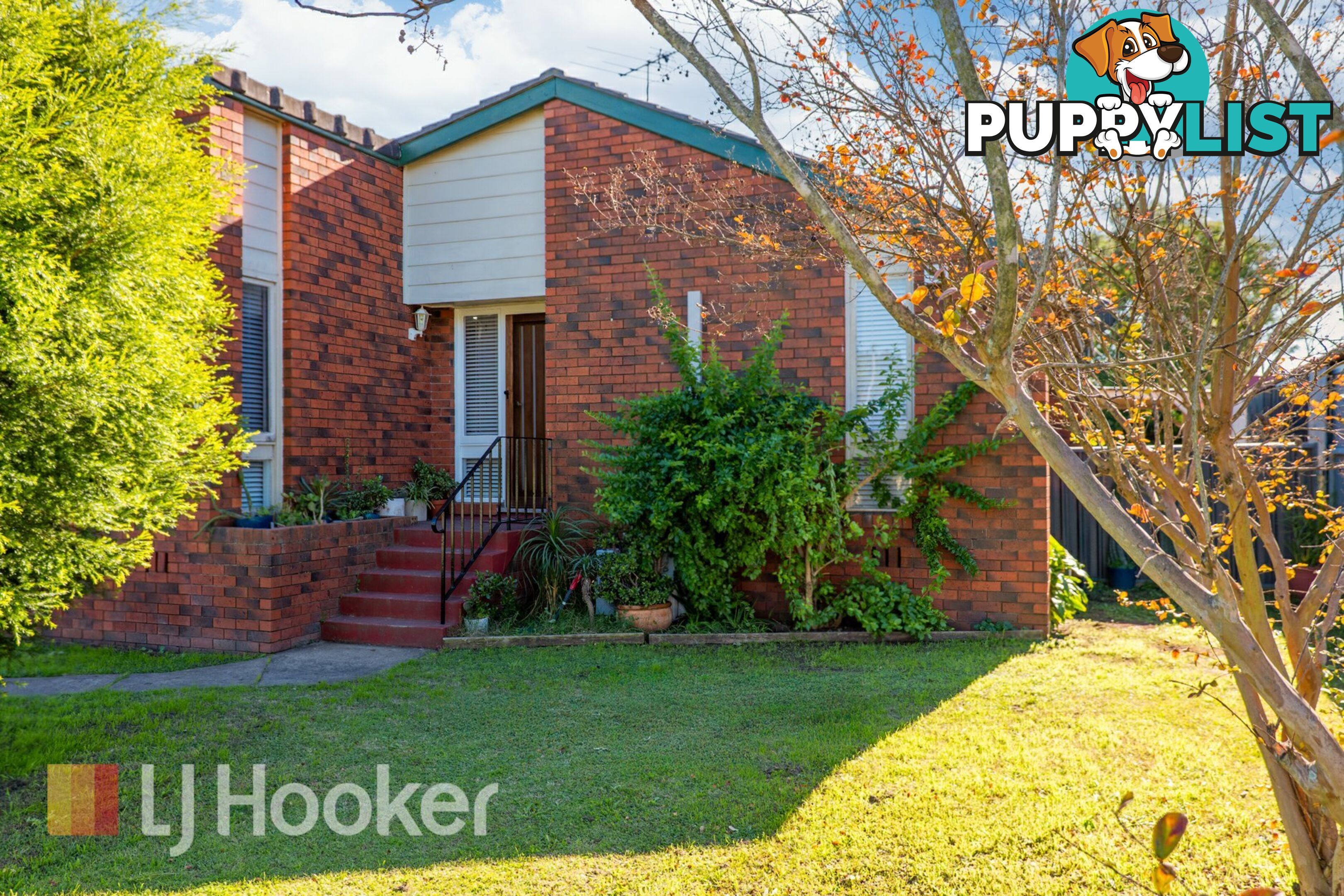 10 Waterhouse Avenue SINGLETON NSW 2330