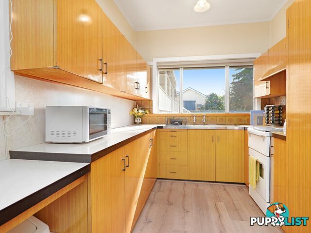 7 Ada Street SINGLETON NSW 2330