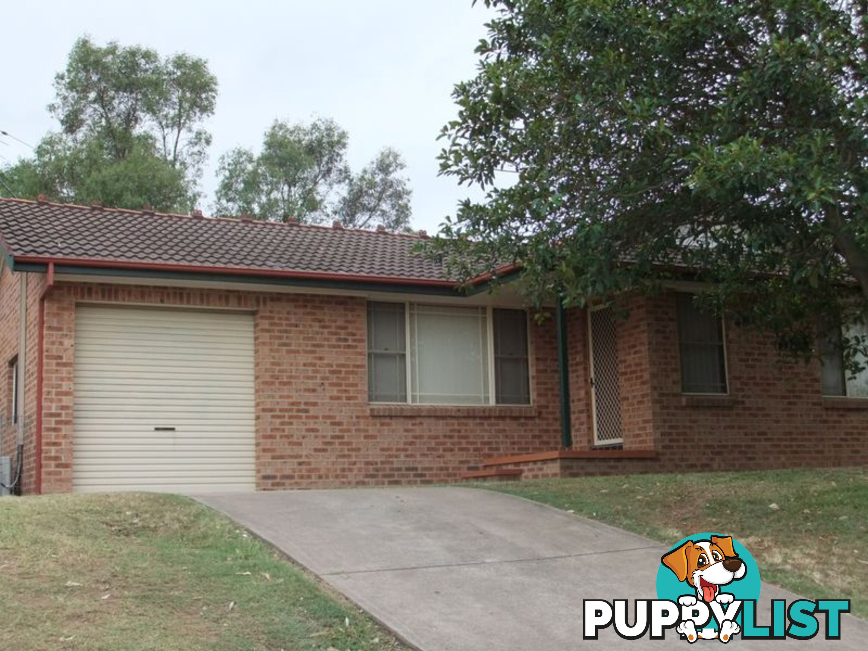 47 Wilmot Place SINGLETON NSW 2330