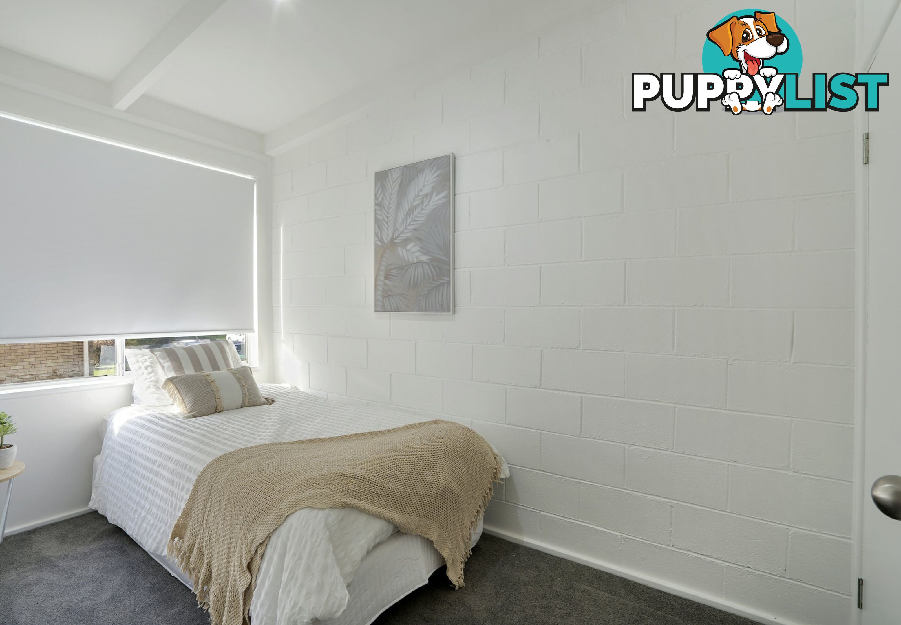 6/15 A Boonal Street SINGLETON NSW 2330