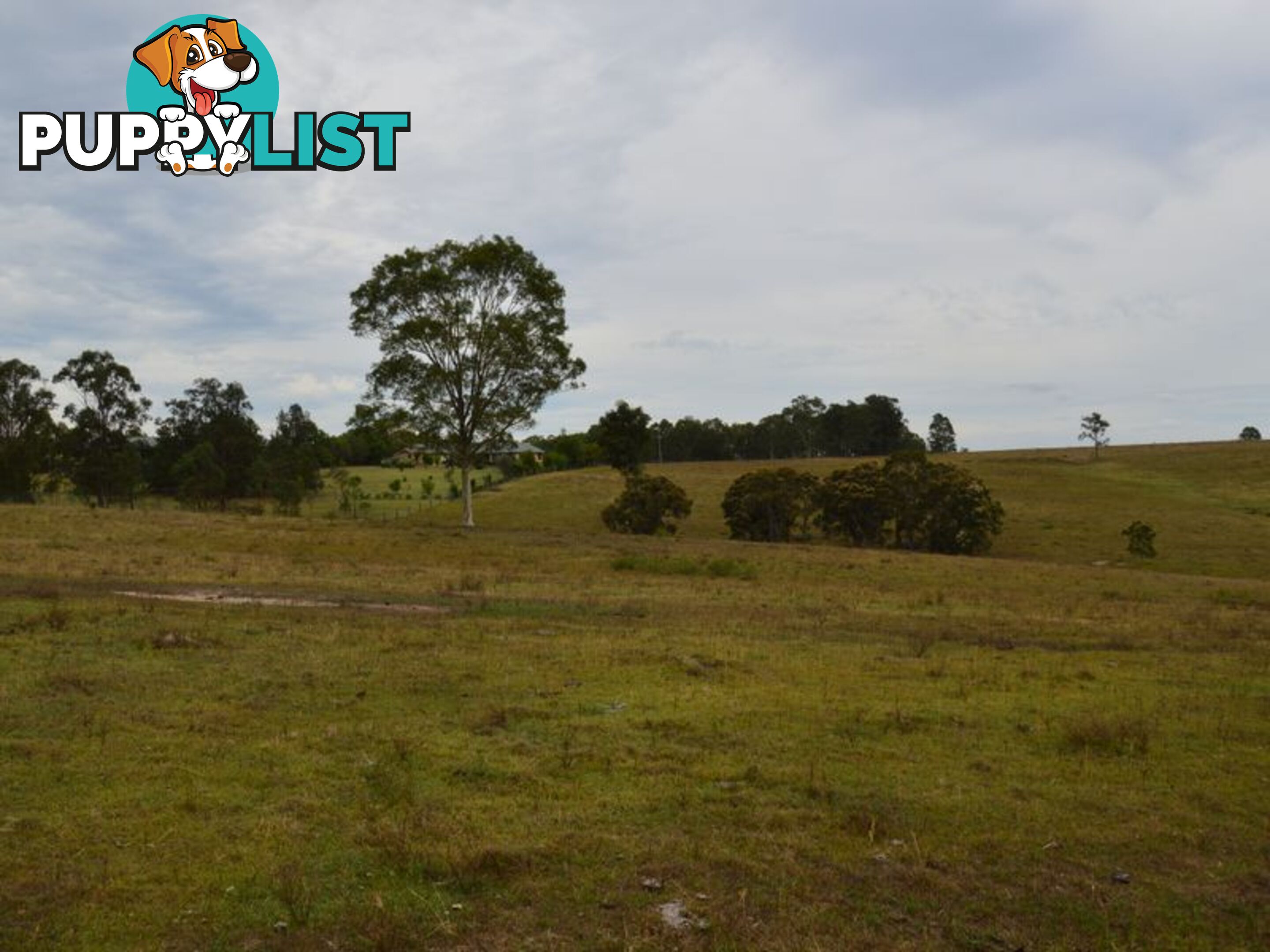 Lot 101 Dalwood Acres BRANXTON NSW 2335