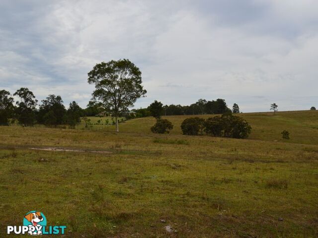 Lot 101 Dalwood Acres BRANXTON NSW 2335