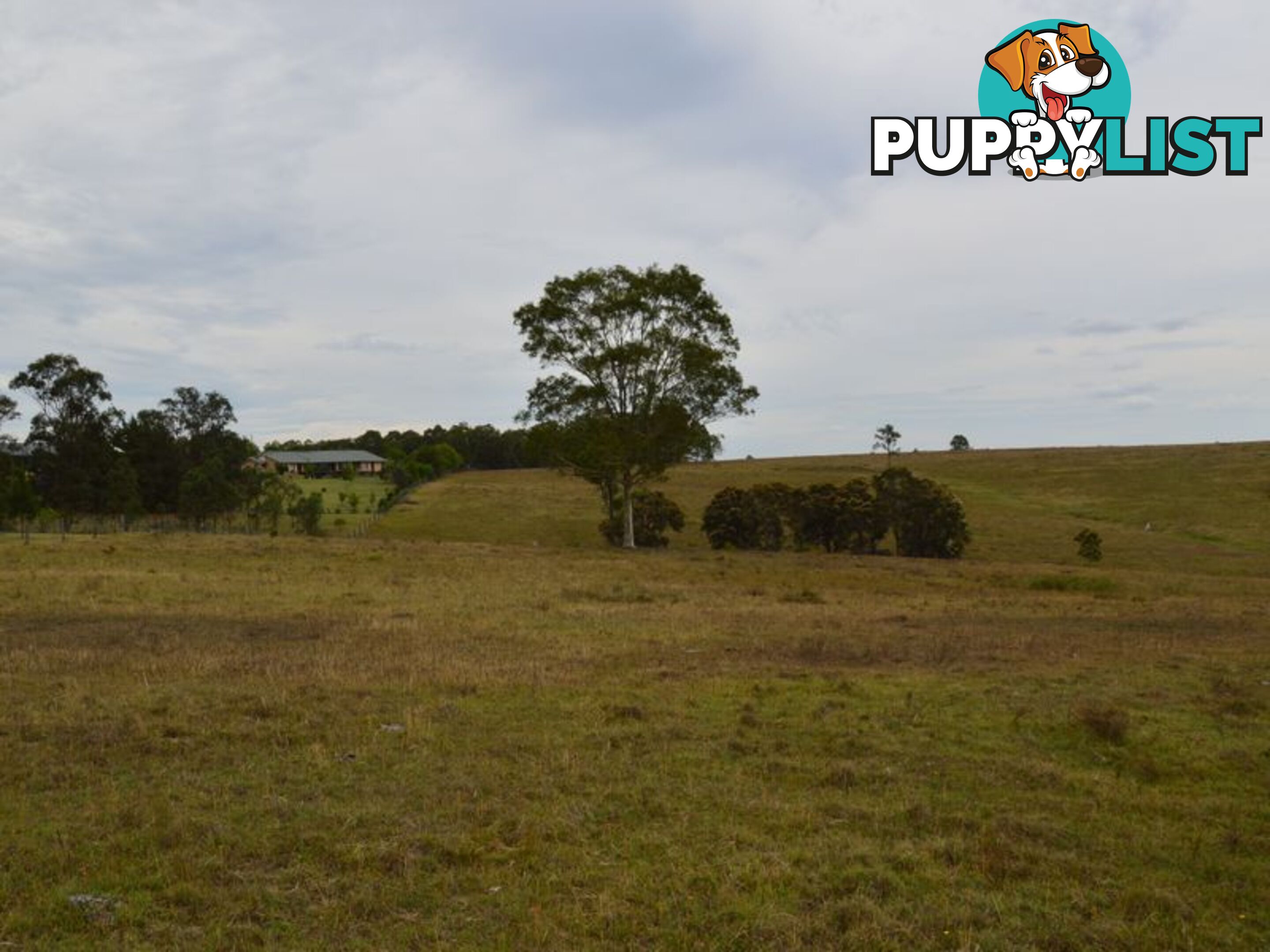 Lot 101 Dalwood Acres BRANXTON NSW 2335