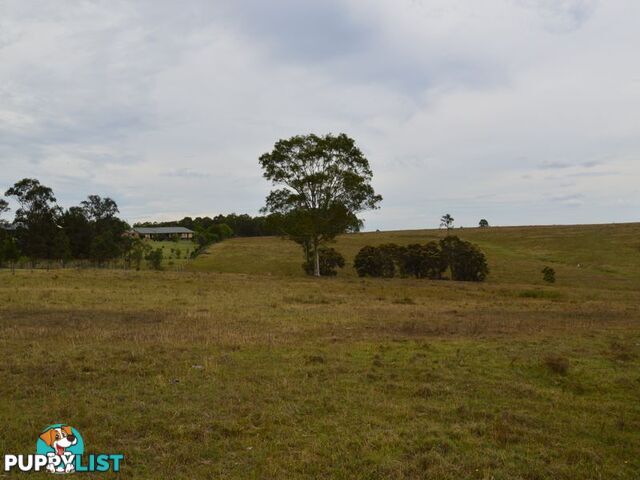 Lot 101 Dalwood Acres BRANXTON NSW 2335