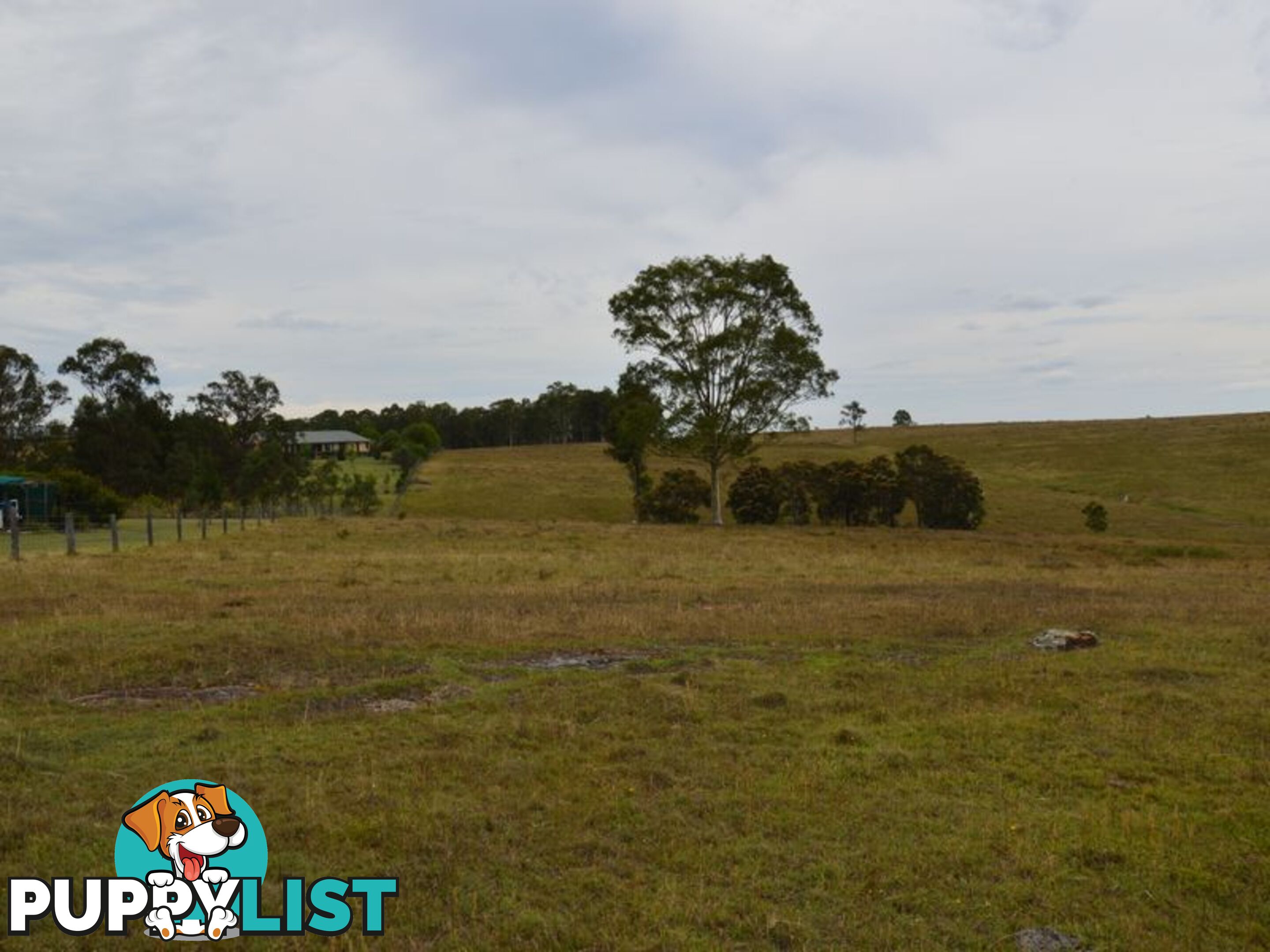 Lot 101 Dalwood Acres BRANXTON NSW 2335