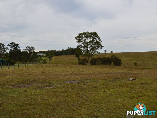 Lot 101 Dalwood Acres BRANXTON NSW 2335