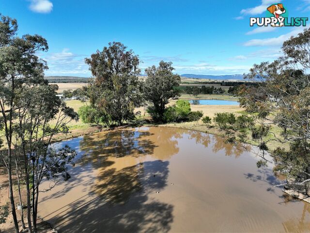 2268 Putty Road BULGA NSW 2330