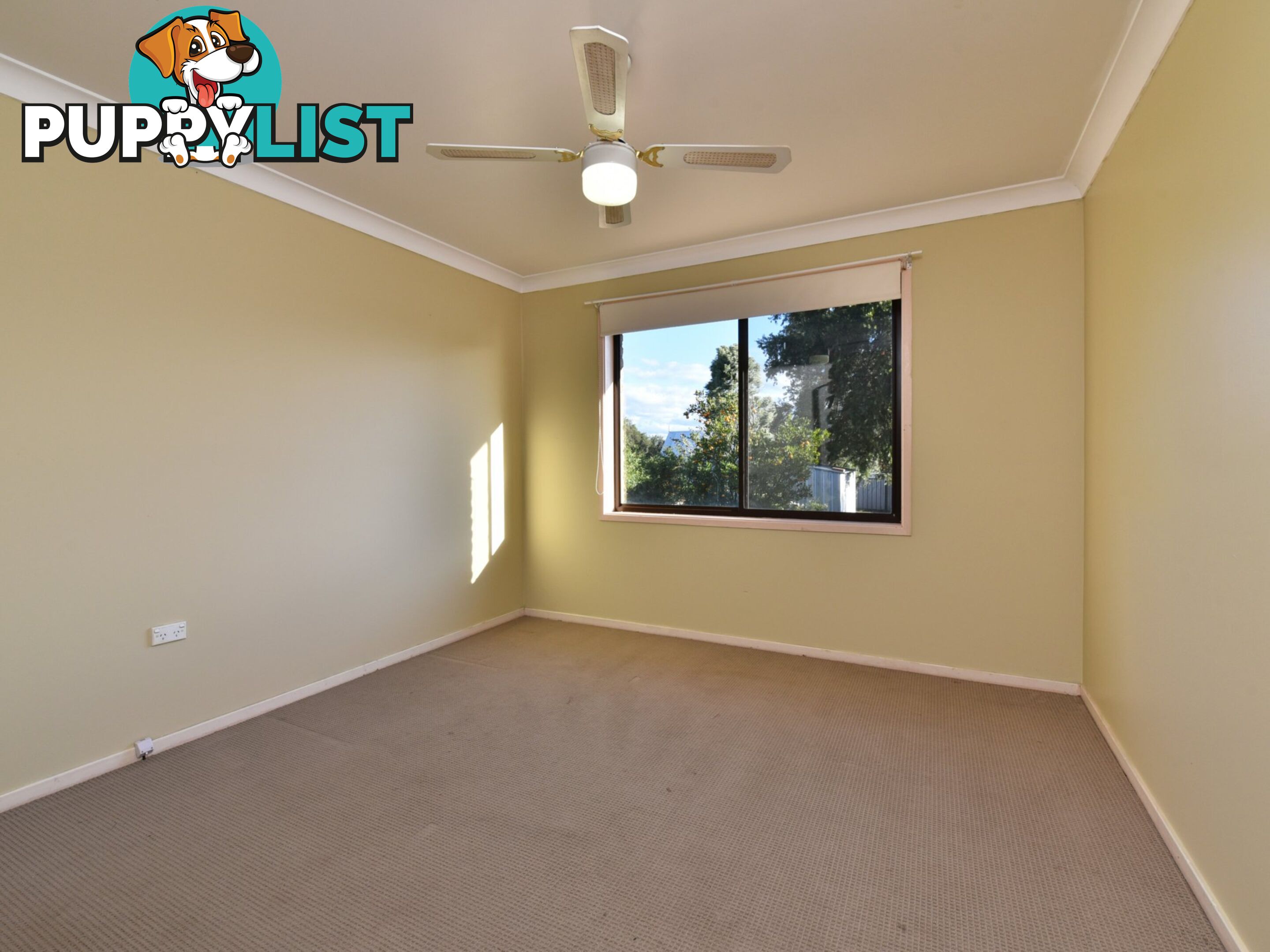 20 Lewis Street GRETA NSW 2334