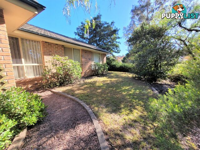 66 Lachlan Avenue SINGLETON NSW 2330