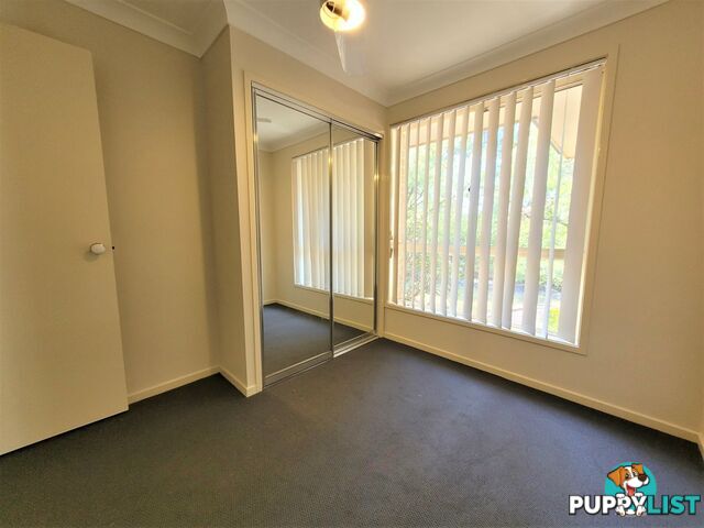 66 Lachlan Avenue SINGLETON NSW 2330