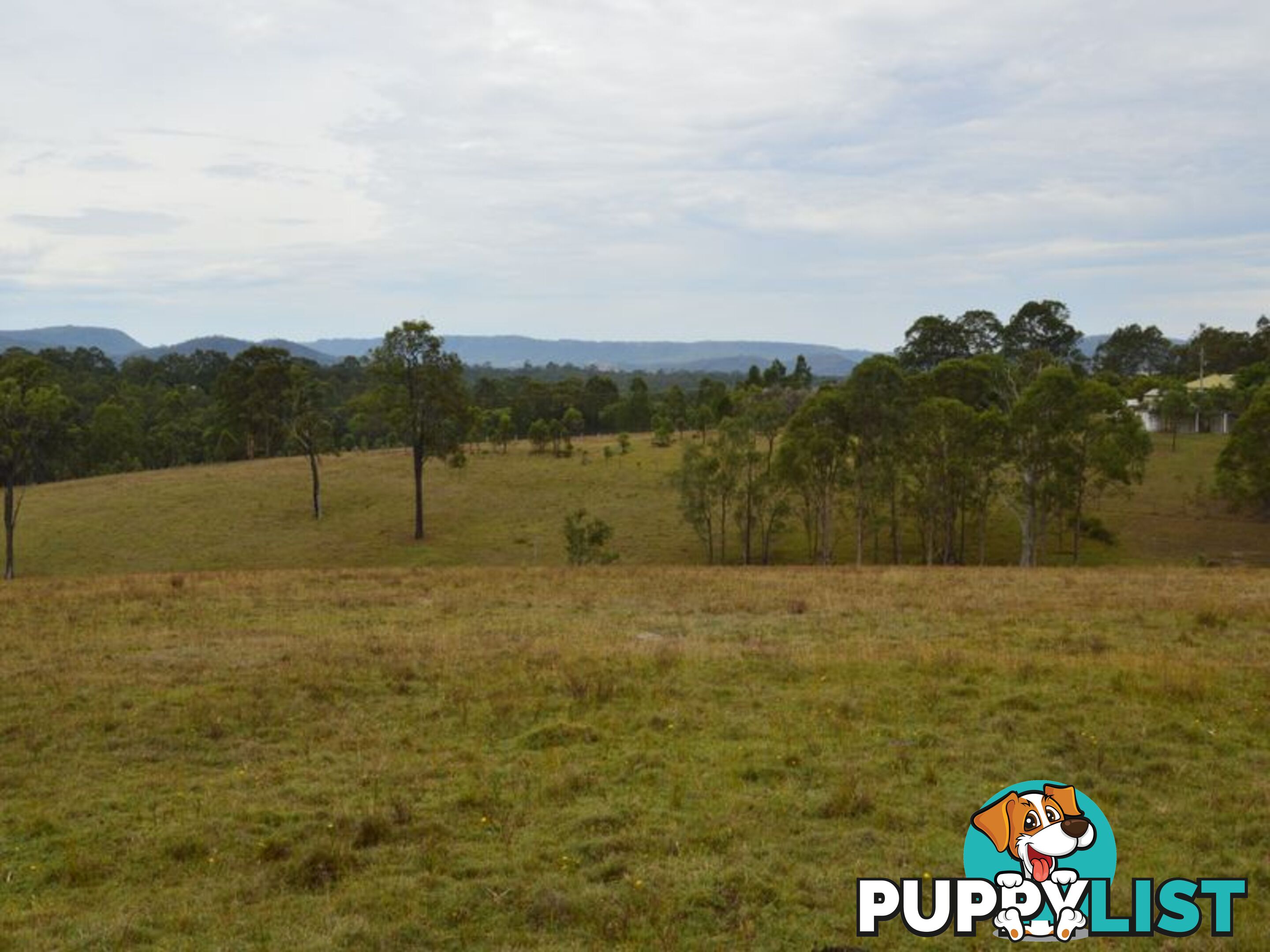 Lot 106 Dalwood Acres BRANXTON NSW 2335