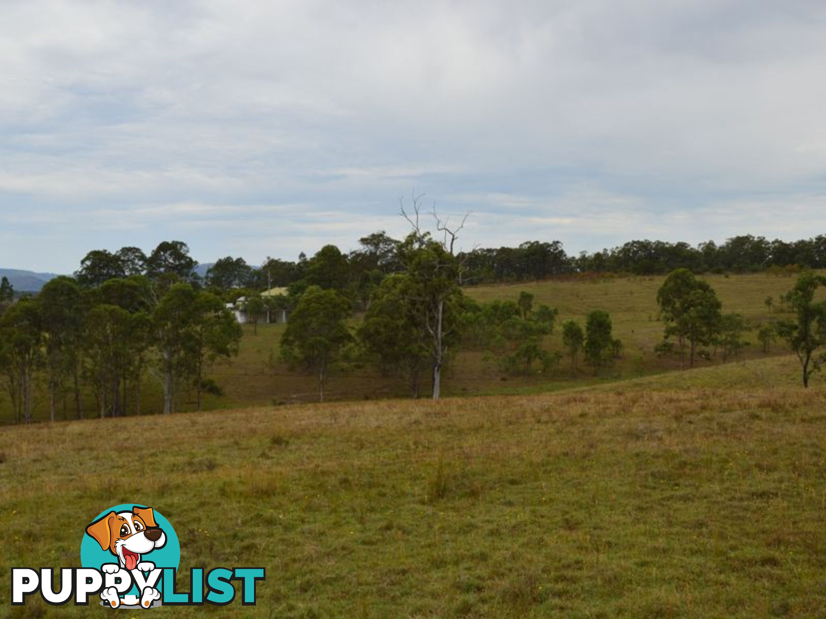 Lot 106 Dalwood Acres BRANXTON NSW 2335