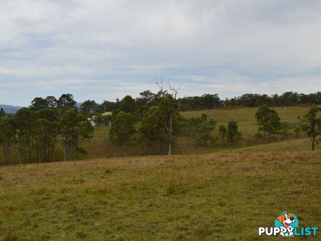 Lot 106 Dalwood Acres BRANXTON NSW 2335