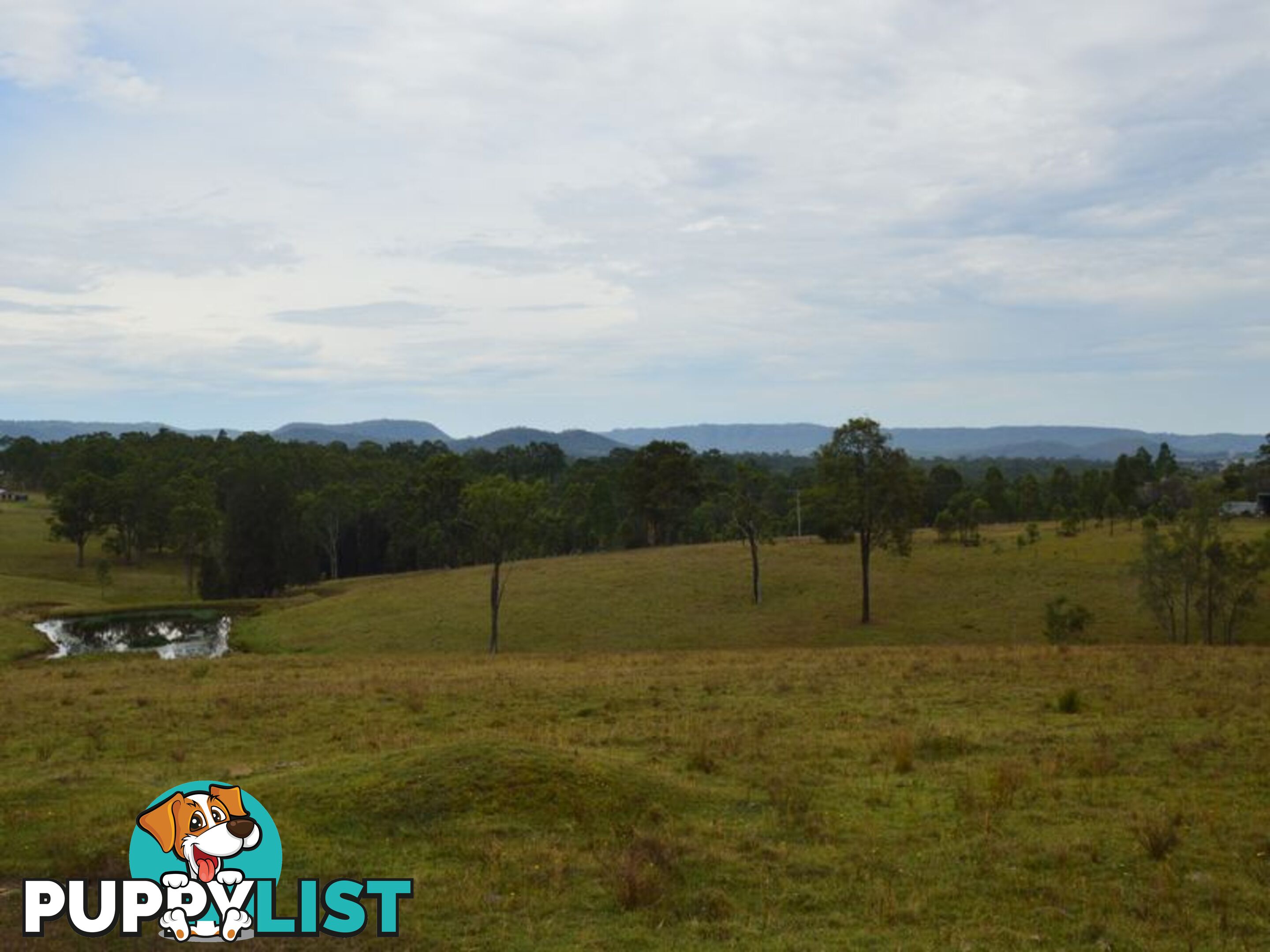 Lot 106 Dalwood Acres BRANXTON NSW 2335