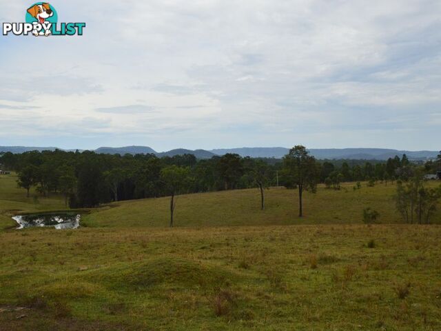 Lot 106 Dalwood Acres BRANXTON NSW 2335