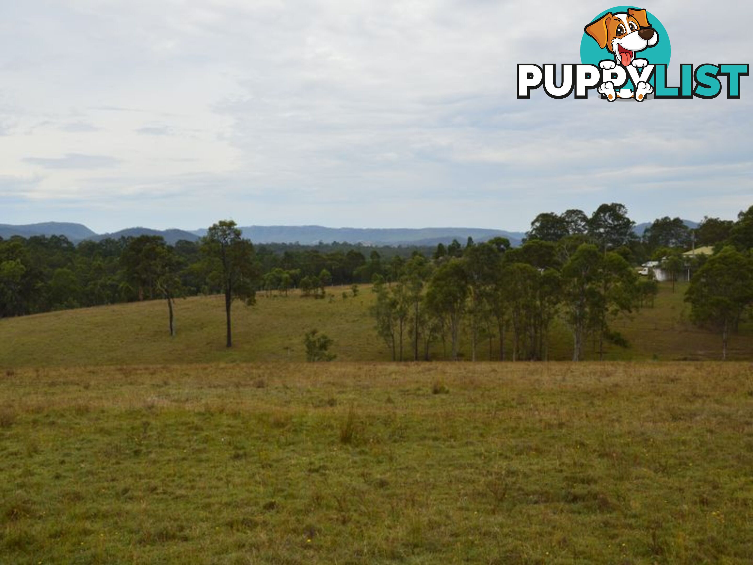 Lot 106 Dalwood Acres BRANXTON NSW 2335