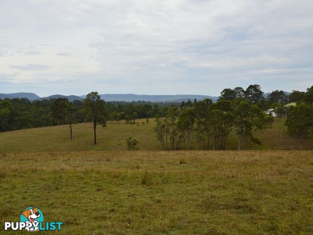 Lot 106 Dalwood Acres BRANXTON NSW 2335