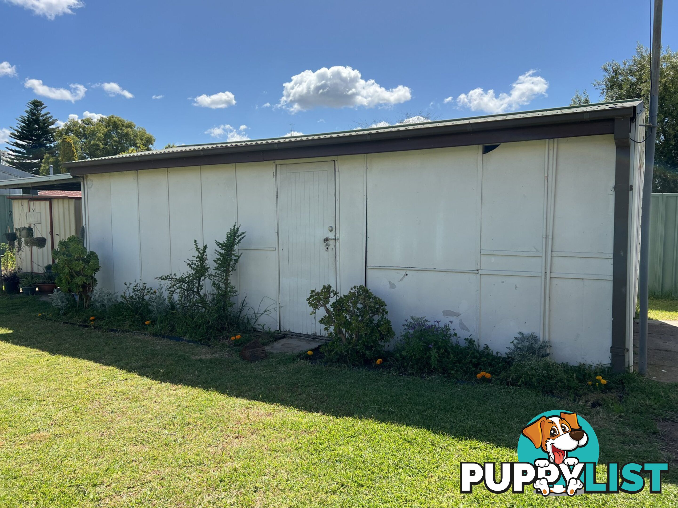 48 Buchan Avenue SINGLETON NSW 2330