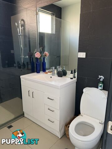 48 Buchan Avenue SINGLETON NSW 2330
