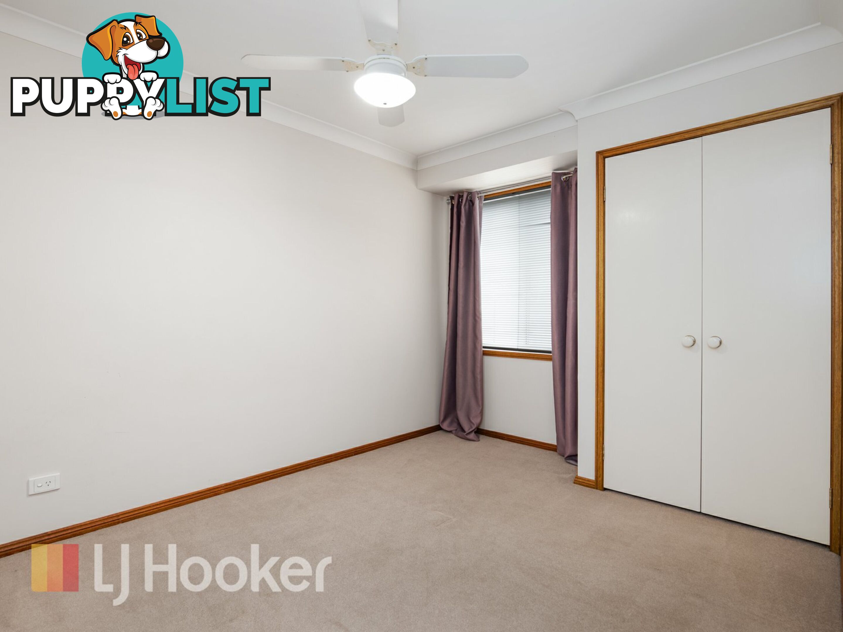 24 Casey Drive SINGLETON NSW 2330