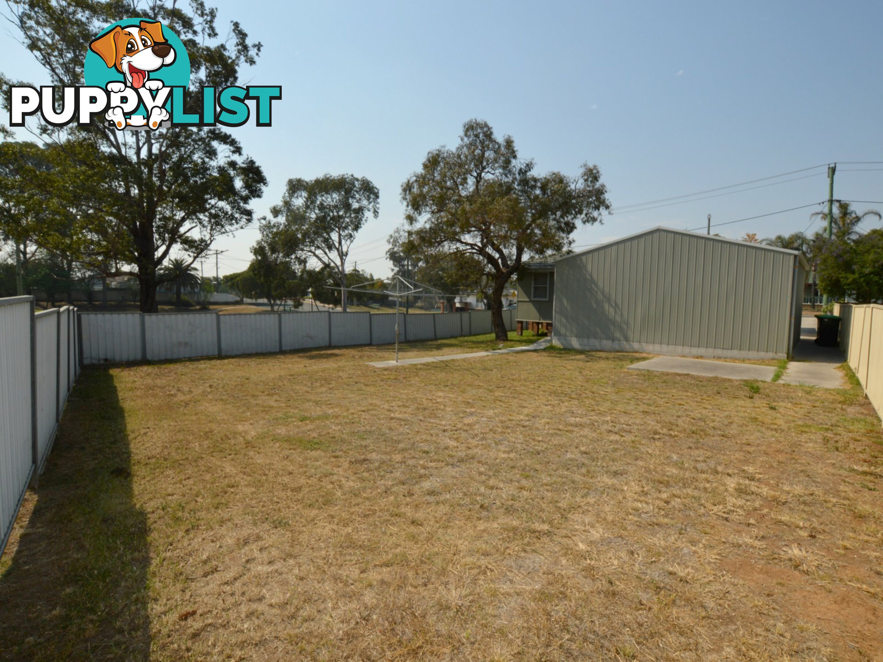 31 White Avenue SINGLETON NSW 2330