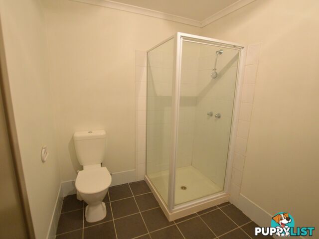 31 White Avenue SINGLETON NSW 2330