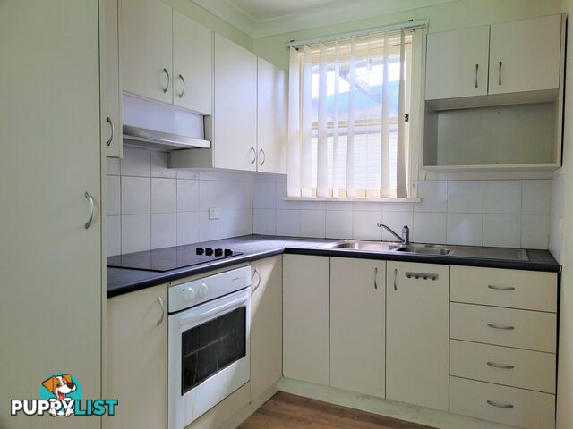 31 White Avenue SINGLETON NSW 2330