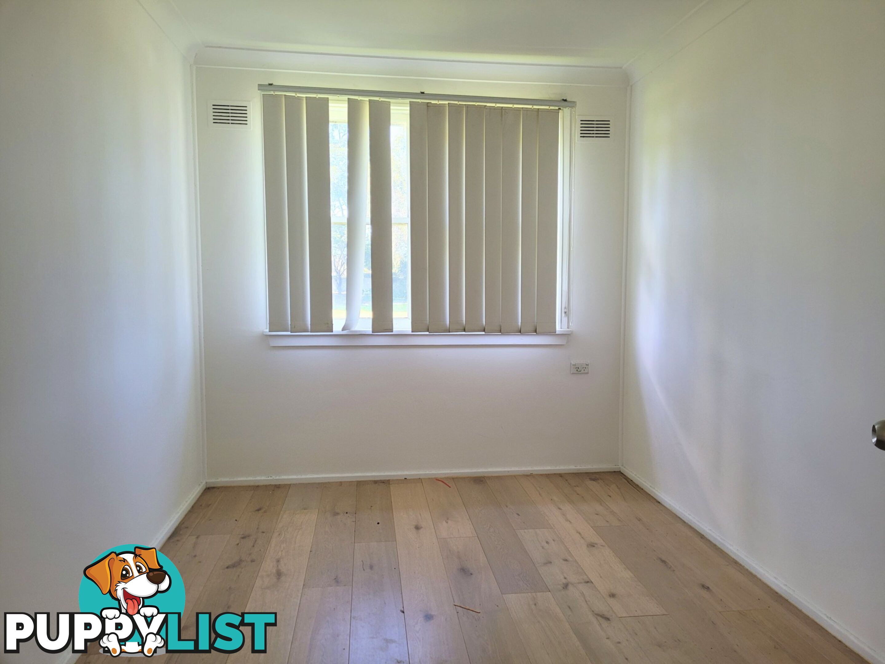 31 White Avenue SINGLETON NSW 2330