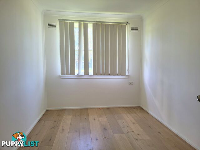 31 White Avenue SINGLETON NSW 2330
