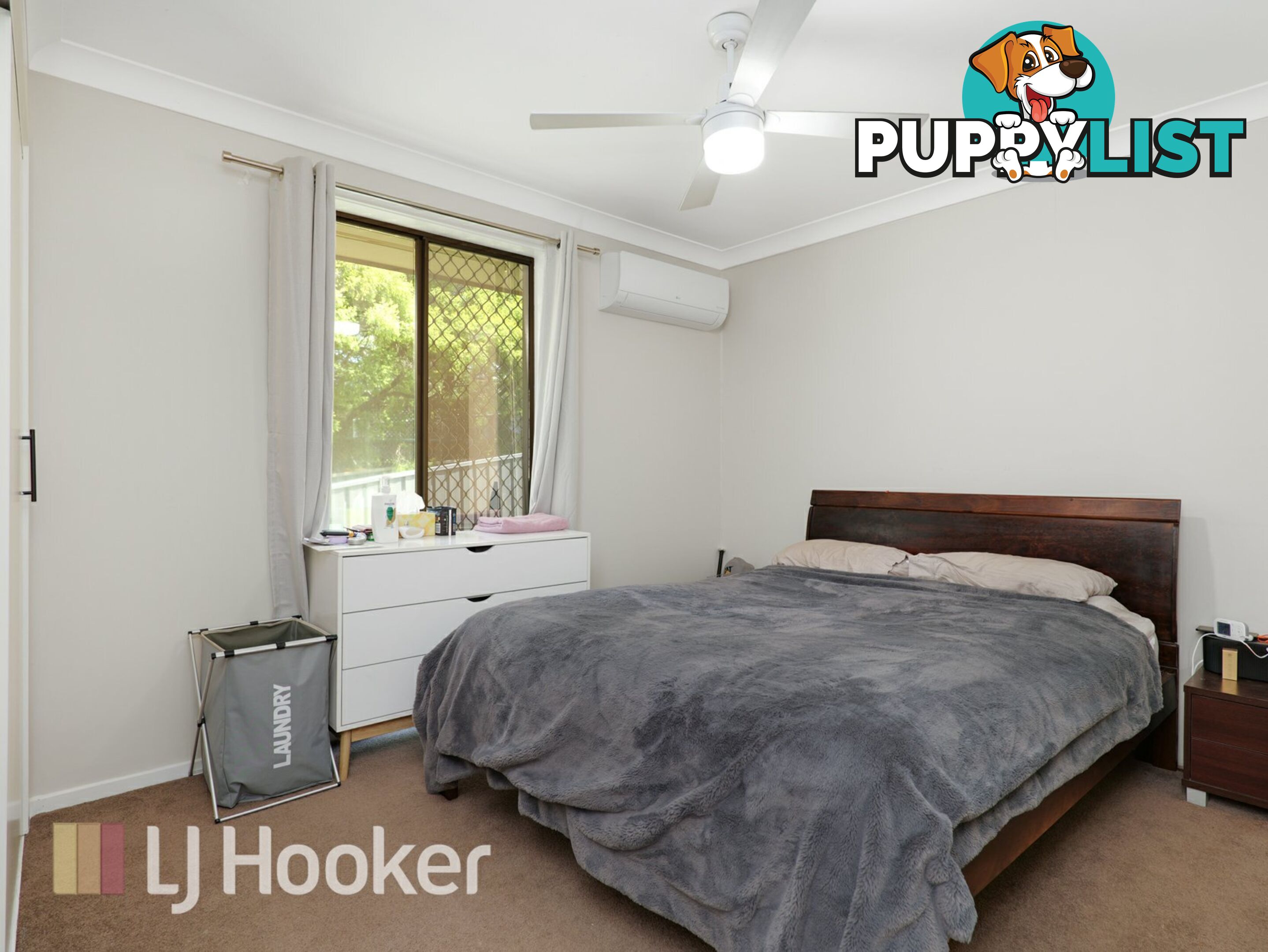 8 Button Close SINGLETON NSW 2330