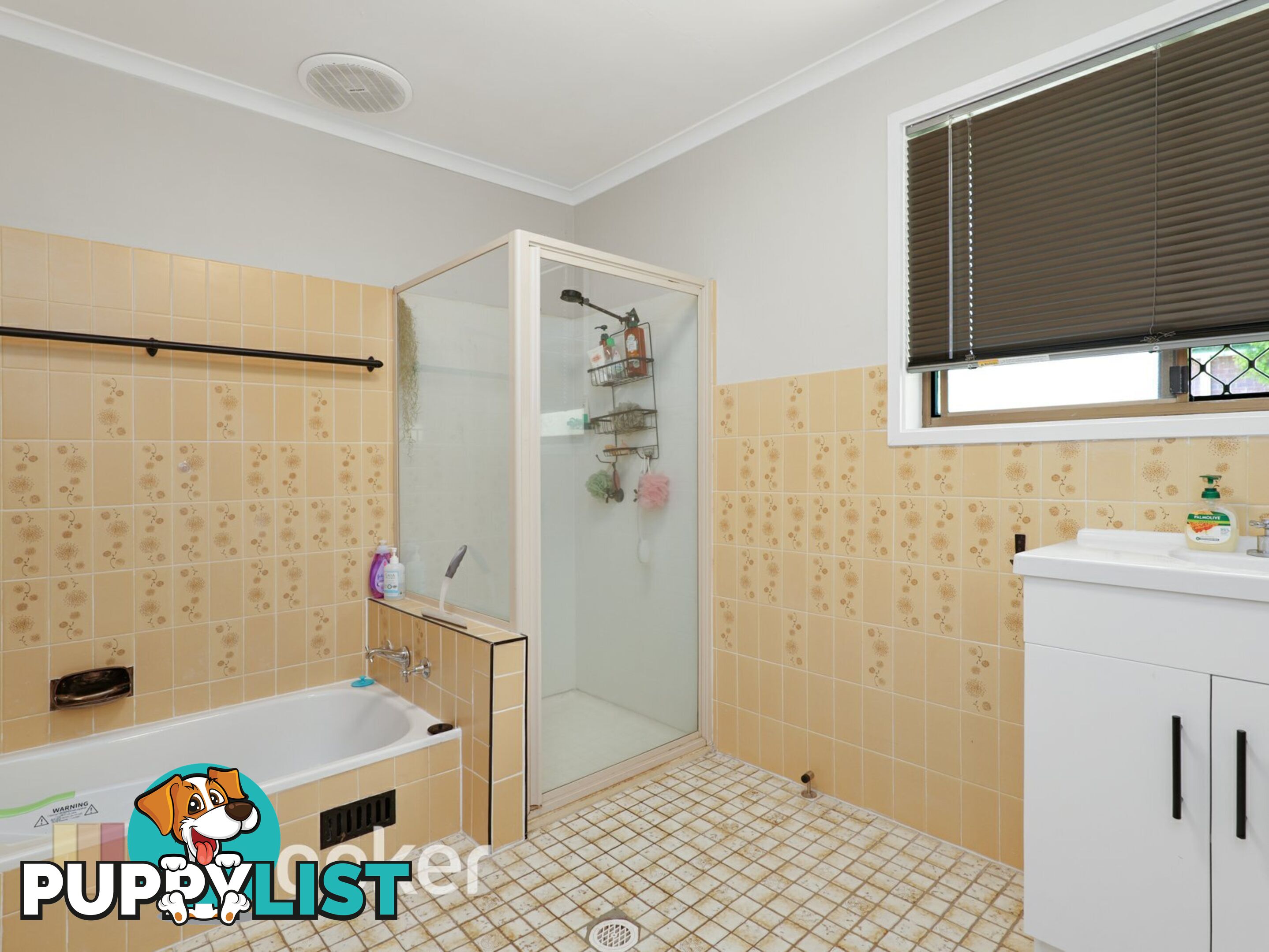 8 Button Close SINGLETON NSW 2330