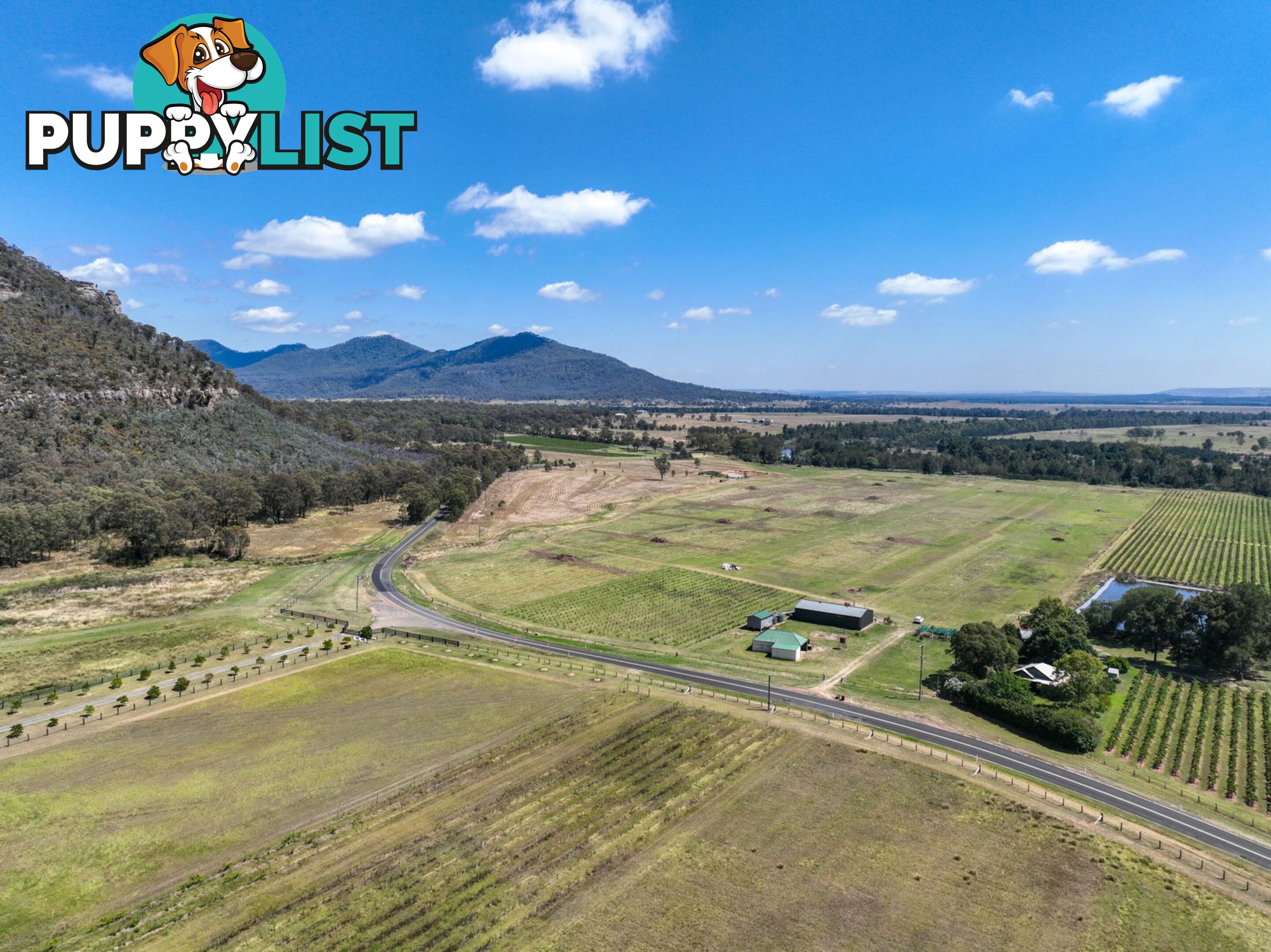 321 Milbrodale Road BROKE NSW 2330