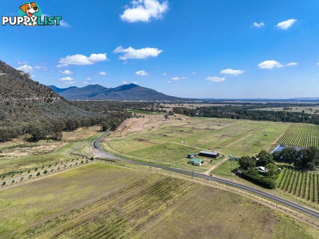 321 Milbrodale Road BROKE NSW 2330