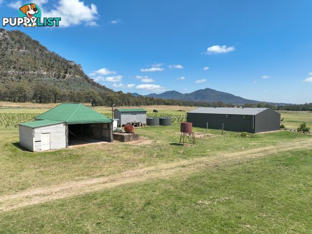 321 Milbrodale Road BROKE NSW 2330