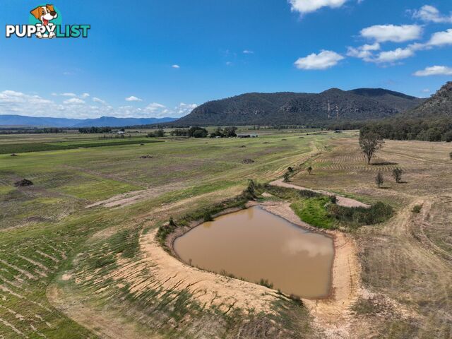 321 Milbrodale Road BROKE NSW 2330