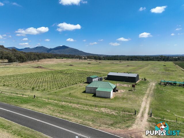 321 Milbrodale Road BROKE NSW 2330