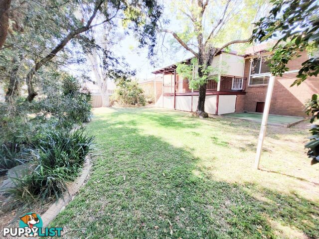 18 Springdale Drive SINGLETON NSW 2330