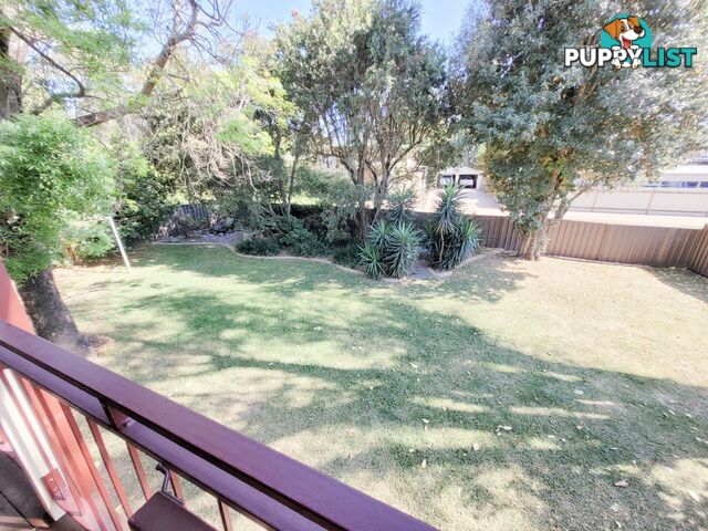 18 Springdale Drive SINGLETON NSW 2330