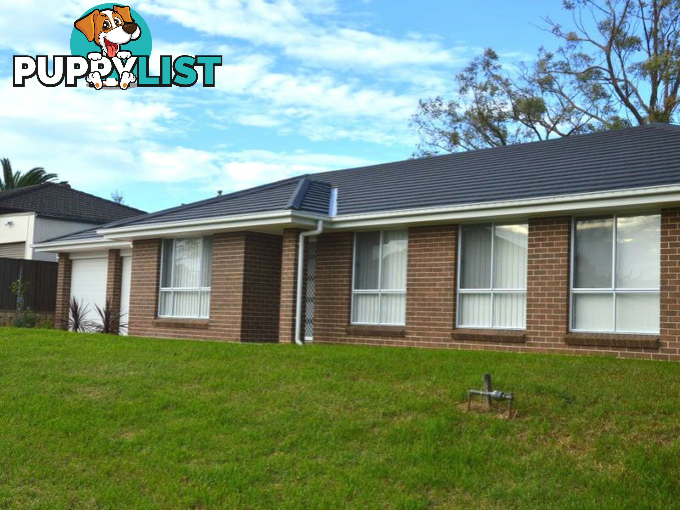 3B Grape Street EAST BRANXTON NSW 2335