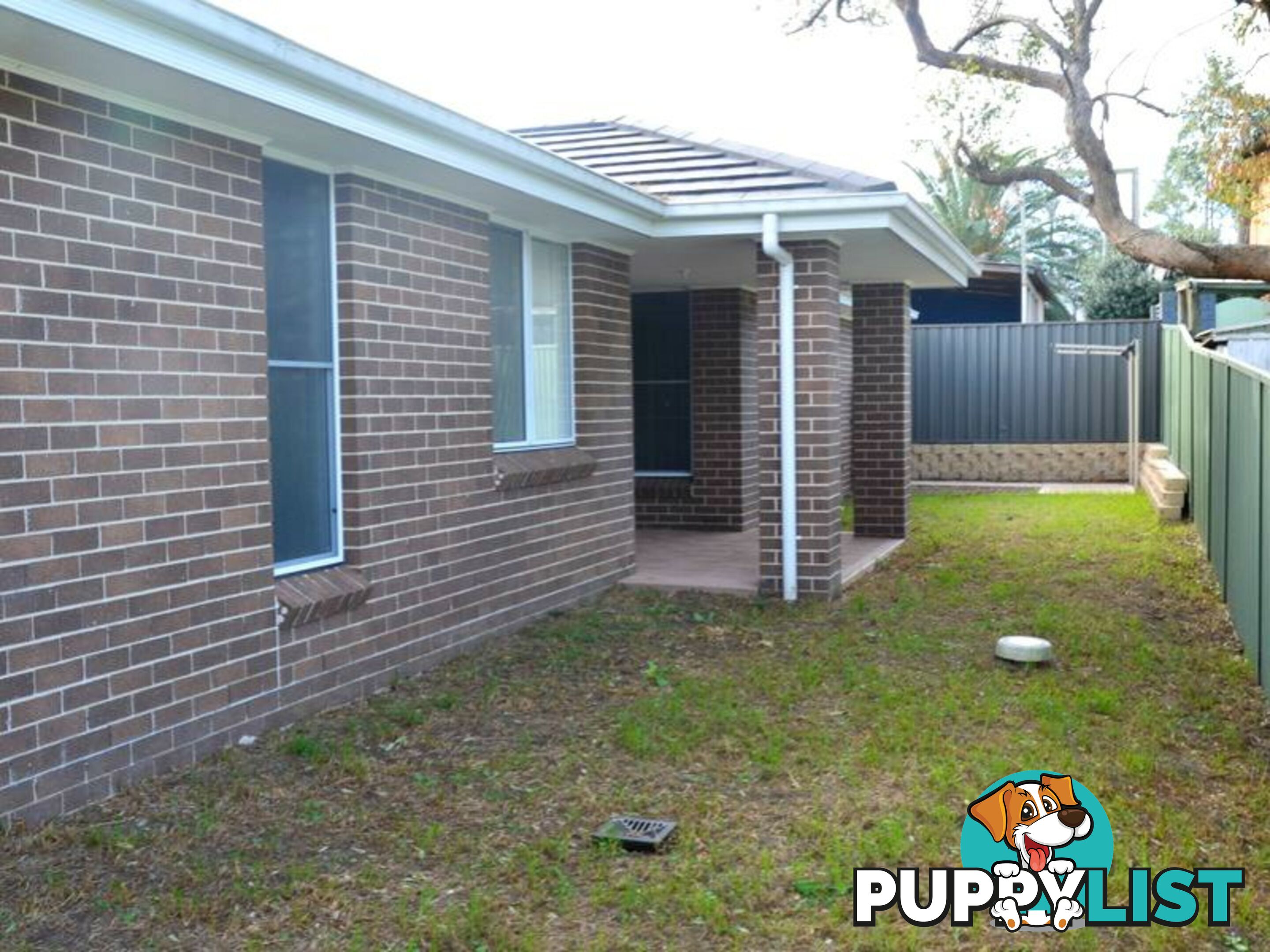 3B Grape Street EAST BRANXTON NSW 2335