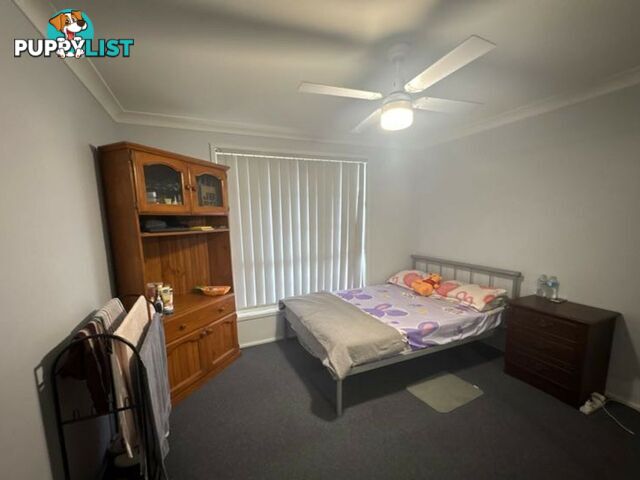 1/11 Woodside Avenue SINGLETON NSW 2330