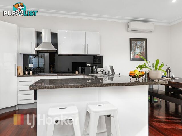 38 York Street SINGLETON NSW 2330
