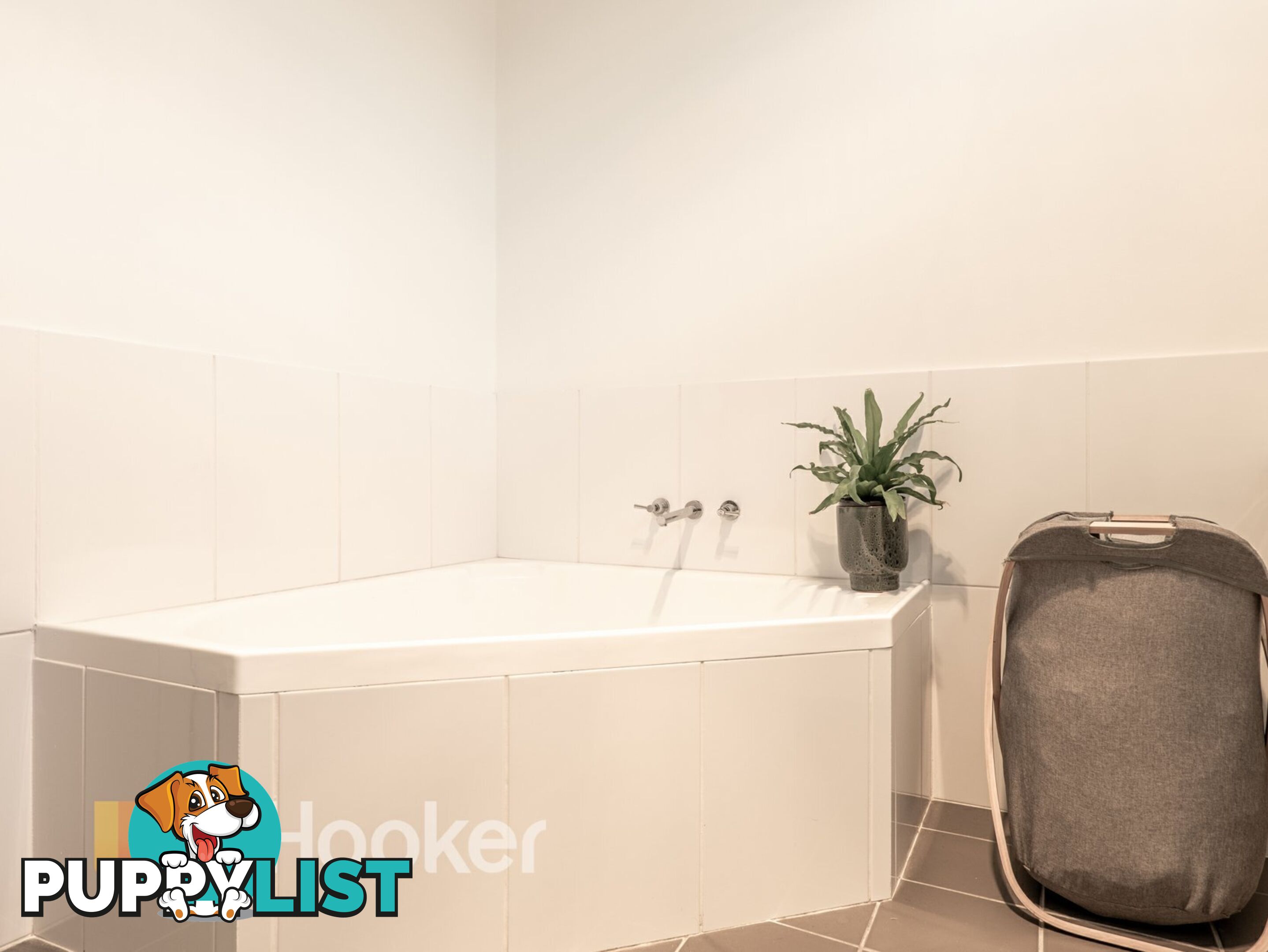38 York Street SINGLETON NSW 2330