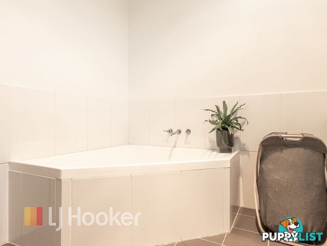 38 York Street SINGLETON NSW 2330