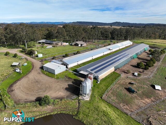 120 Allandale Road ALLANDALE NSW 2320