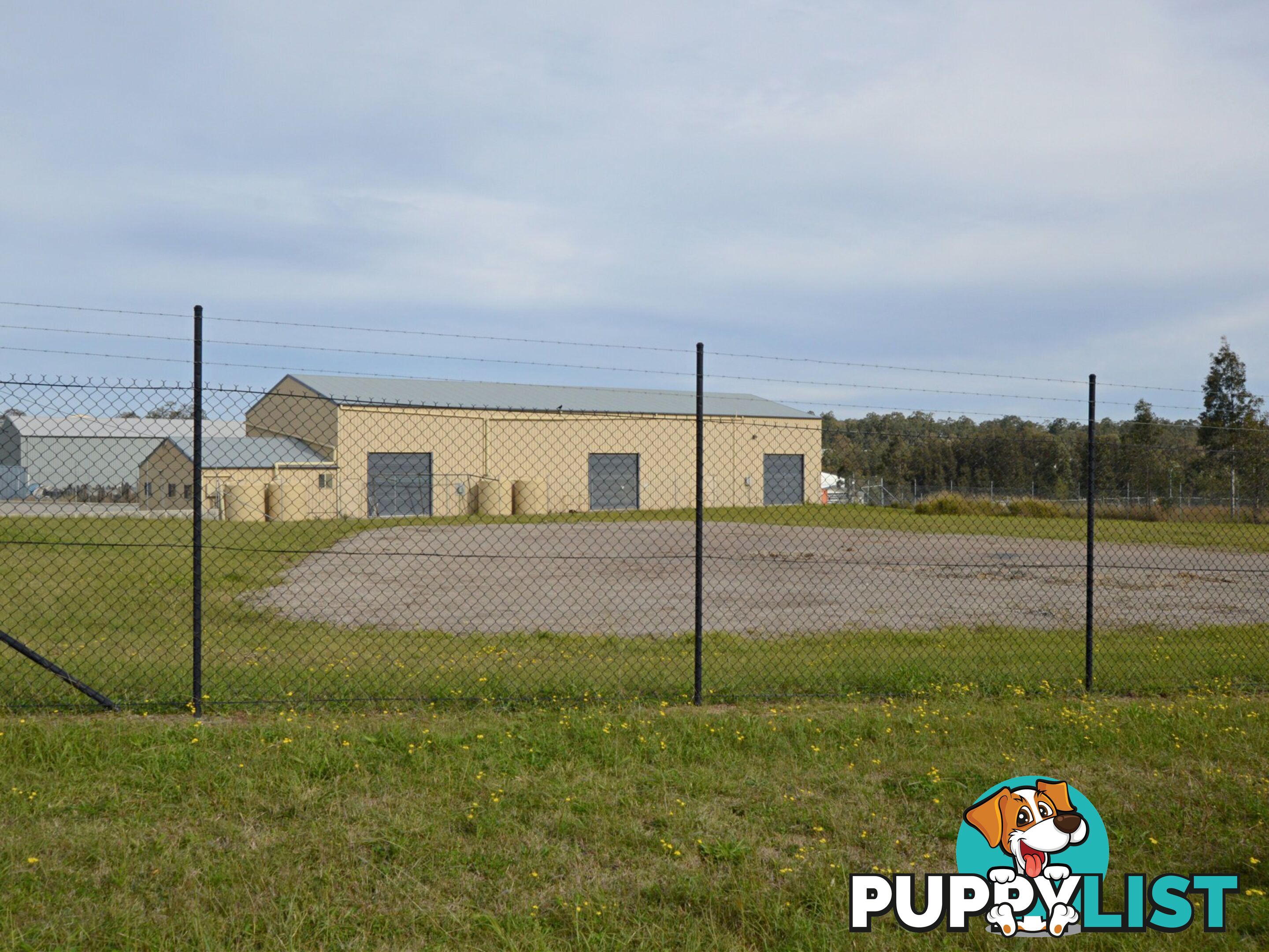 23 Magpie Street SINGLETON NSW 2330