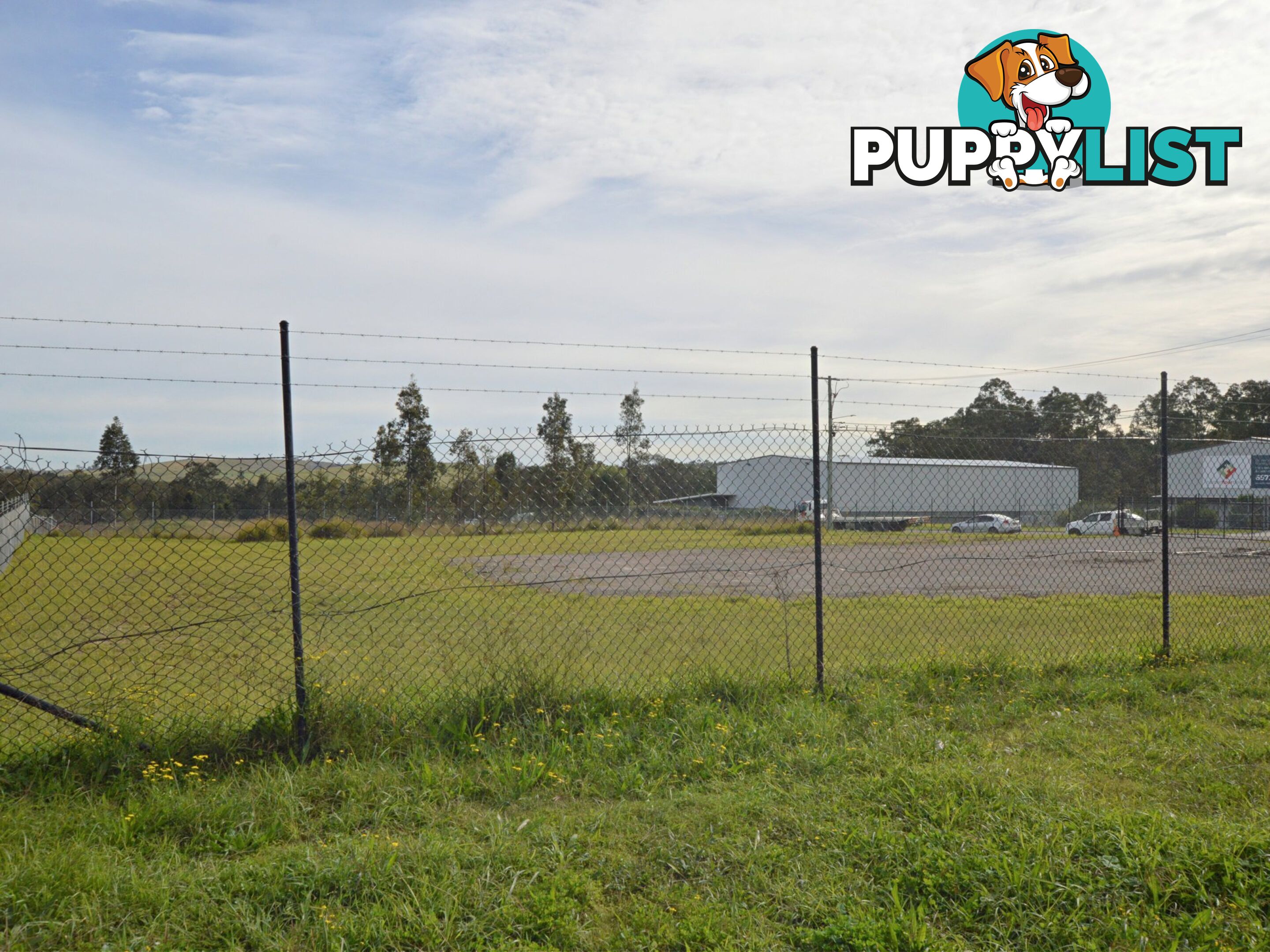 23 Magpie Street SINGLETON NSW 2330
