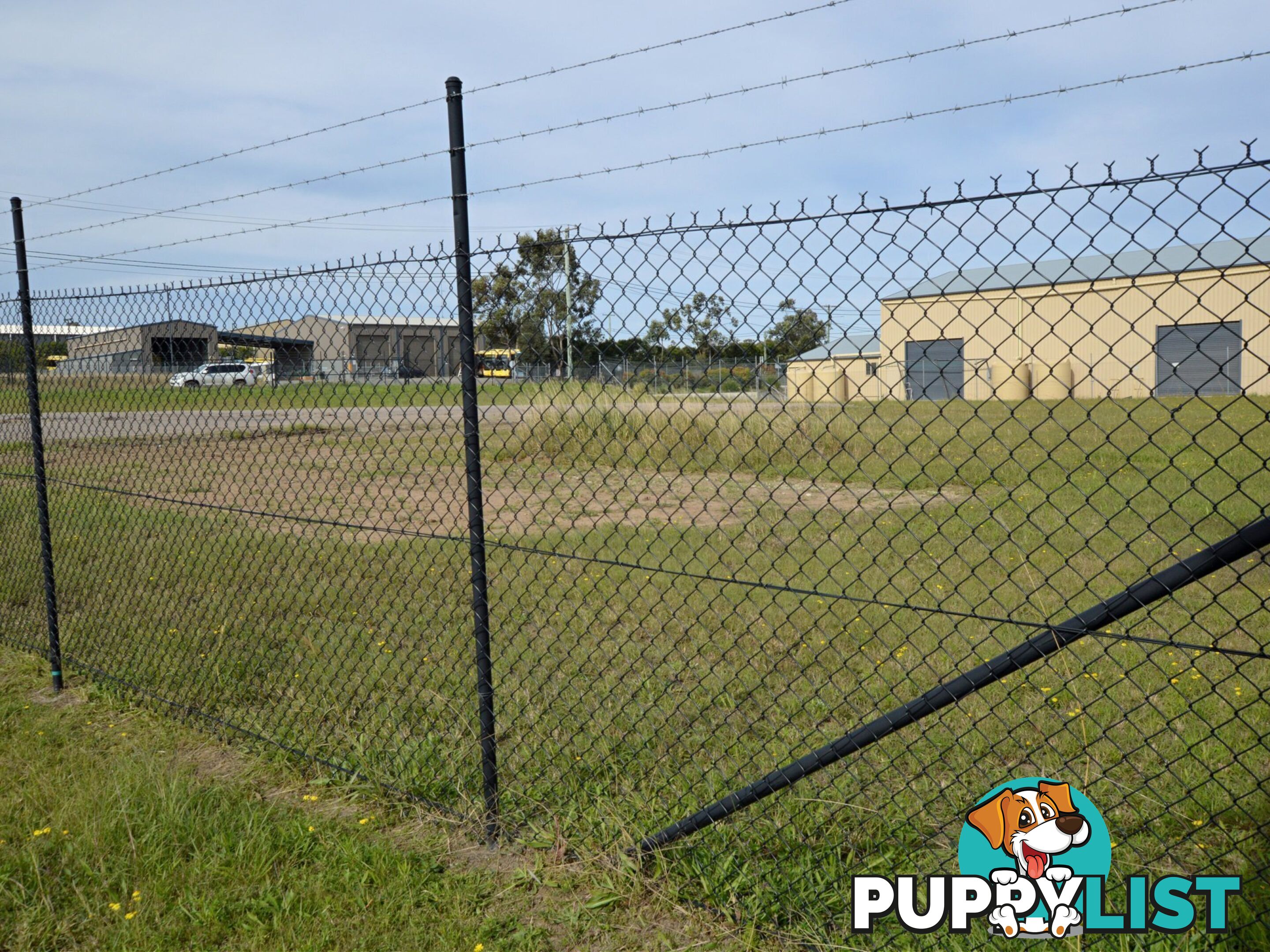 23 Magpie Street SINGLETON NSW 2330