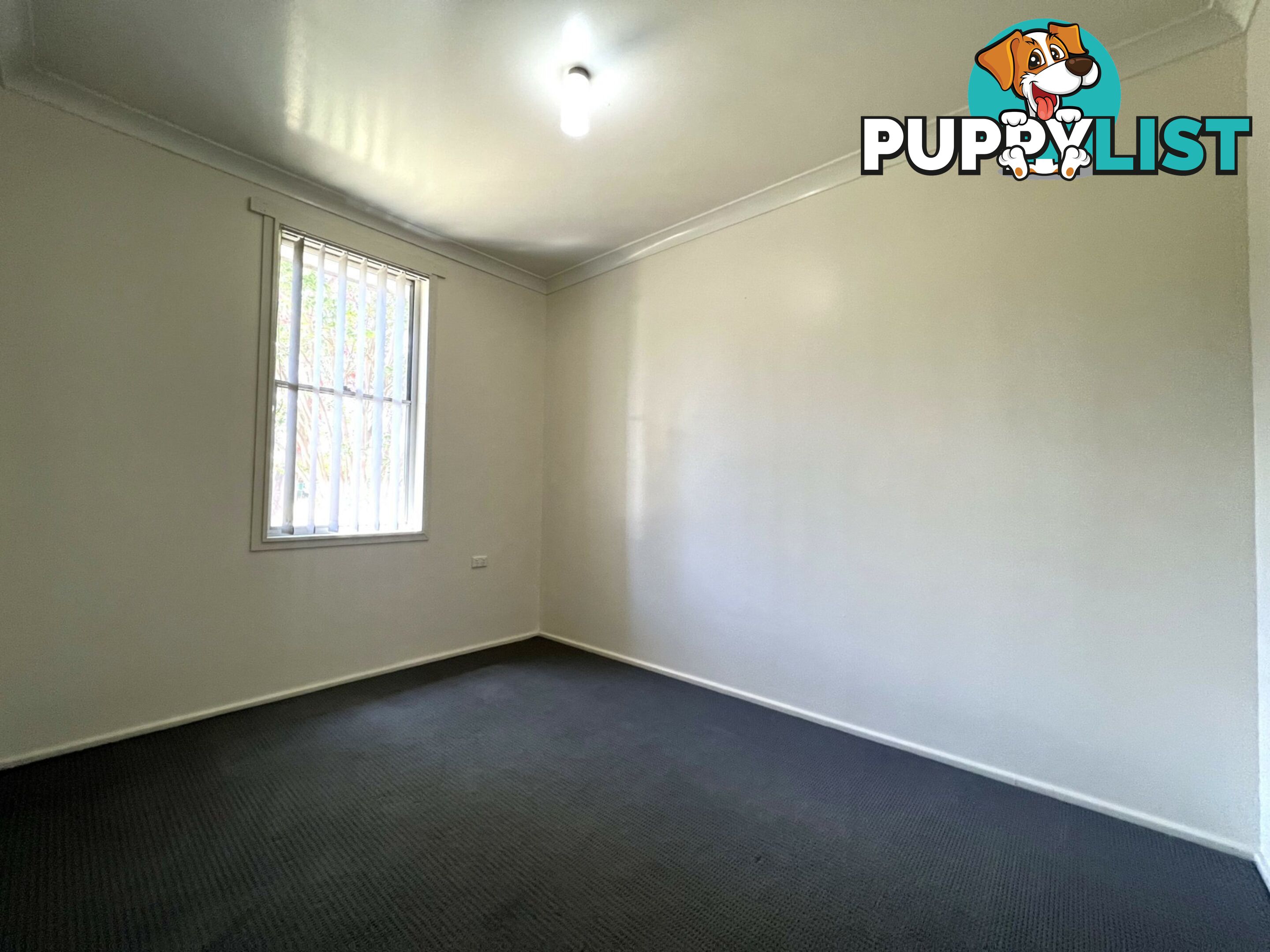 57 Buchan Avenue SINGLETON NSW 2330
